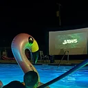 Movie Night at the Pool