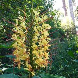 Guided Garden Tour – September 19, 2026