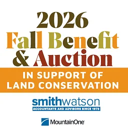 Fall Benefit & Auction