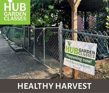 HUB Garden Class: Healthy Harvest (Mt. Airy Commons)