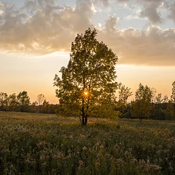 Sunset Stroll at Bay Shore Blufflands