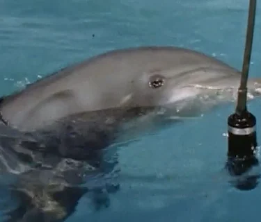 John Lilly and the Earth Coincidence Control Office at Speed Cinema