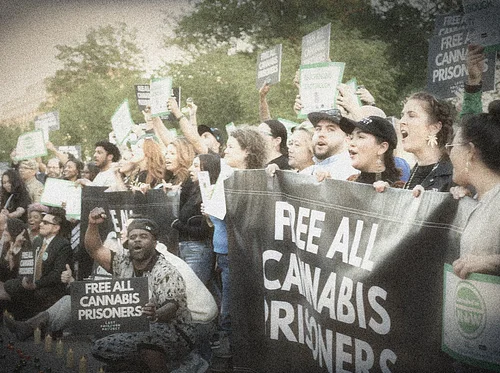 Bar None: Cannabis Redemption