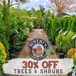 September Super Sale: 30% off Trees & Shrubs