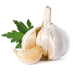 Garlic Planting Workshop