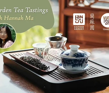 Garden Tea Tastings with Hannah Ma (3 PM)