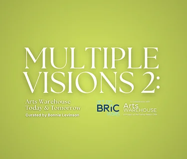 Satellite Exhibition | Multiple Visions 2: