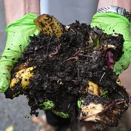 Enhancing Life in the Soil