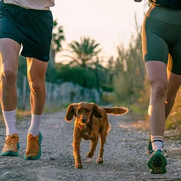 Paws Along the Erie 5K