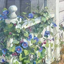 In the Garden with Susan Diehl