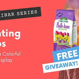 Seminar | Planting Bulbs: Tips for a Colorful Spring Display