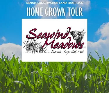 Home Grown Tour: The Highland Cattle of Seawind Meadows Farm