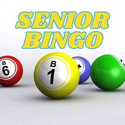 Senior Bingo