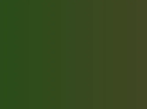 Pioneer Showcase Disabled Disabilities Artwork