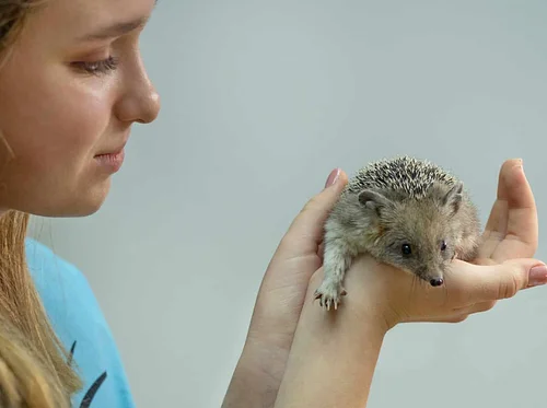 Junior WILD! Keepers: Summer Session 1