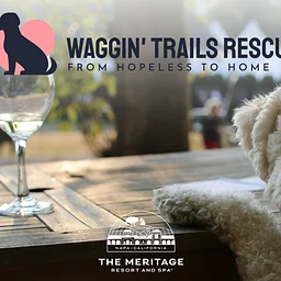 Wag, Wine & Dine, A Culinary Adventure for Pups and their People