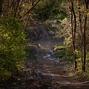 AARP 50+ Walk Series: Great Views at Girty’s Woods