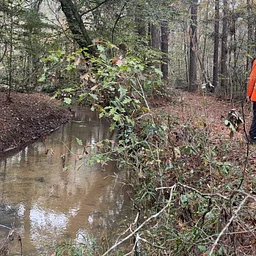 WOMEN'S HIKE: Big Creek Scenic Area