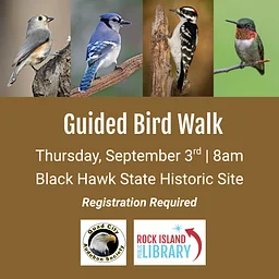 Guided Bird Walk with the Quad City Audubon Society