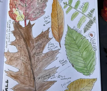 Kids Nature Journaling Workshop with Heidi Colburn