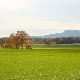Heart of the Season: Autumn