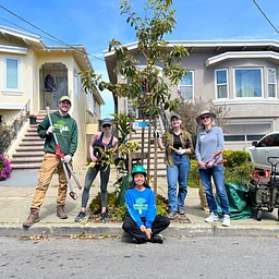 Sunset | Community Tree Care