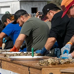 Oyster Fest (Shelton)