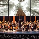 Berks In Focus: Symphony Of A Thousand Images