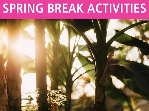 Spring Break Staycation