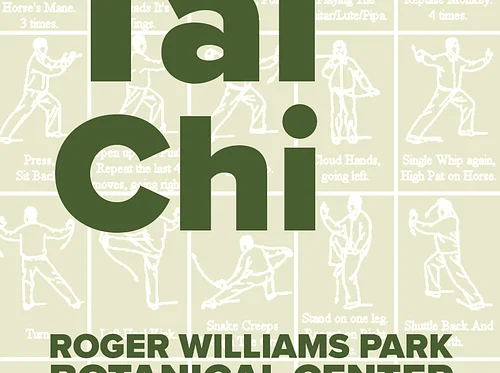 Sun Style Tai Chi for Beginners