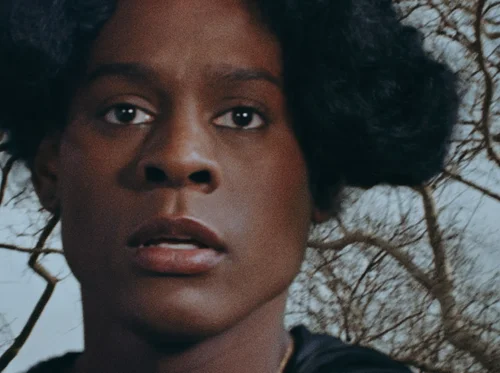 Black & Free: Pleasure Histories