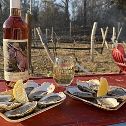 The Oyster Sessions at Loughlin Vineyard featuring Live Music by Paris Ray, Tall Mutha Shucka, and Orchard Street