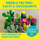 Needle Felting: Cacti & Succulents, Tuesday 7/7, 5-7:30pm