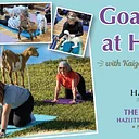 Goat Yoga @ Hazlitt • Hazlitt Red Cat Cellars in the Vineyards