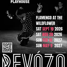 Flamenco with ReVoZo