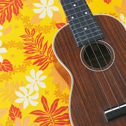 Group Ukulele Lessons