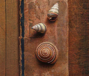 John Whalley solo exhibition