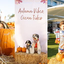 Fall Festival