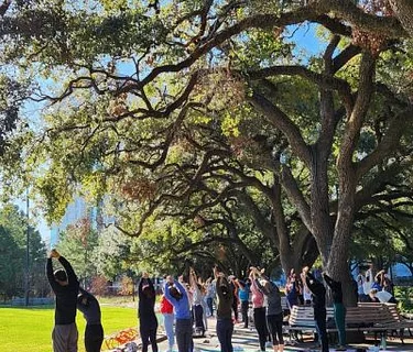 Yoga in the Park