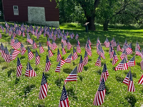 Field of Flags
