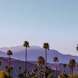 Palm Springs Joshua Tree National Park CA 2027March 25 - 27, 2027