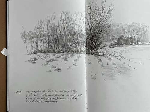 Exclusive Evening of Summer Workshops: Pollinators, Plants, & Nature Journaling