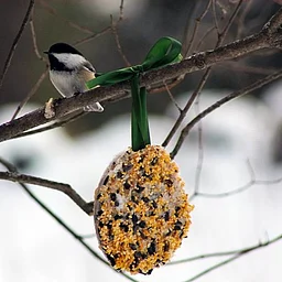 Teen Make & Take Bird Feeder Sign up Dec. 1 – 8
