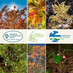Tree and Shrub Identification Field Classes in the Cape Cod National Seashore