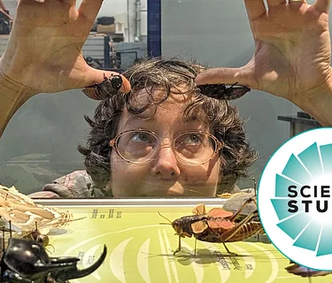 Science Studio: Live Bugs