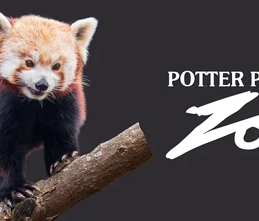 Red Panda Day Celebration