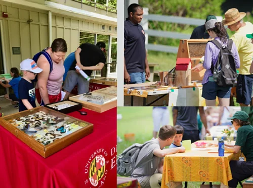 Pollinator Fest