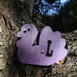 Turkey Scavenger Hunt