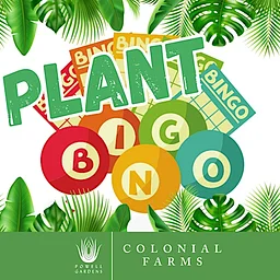 Plant Bingo Night at Colonial Farms