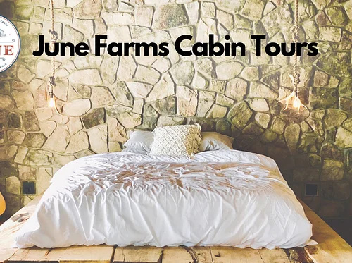 Cabin Tours
